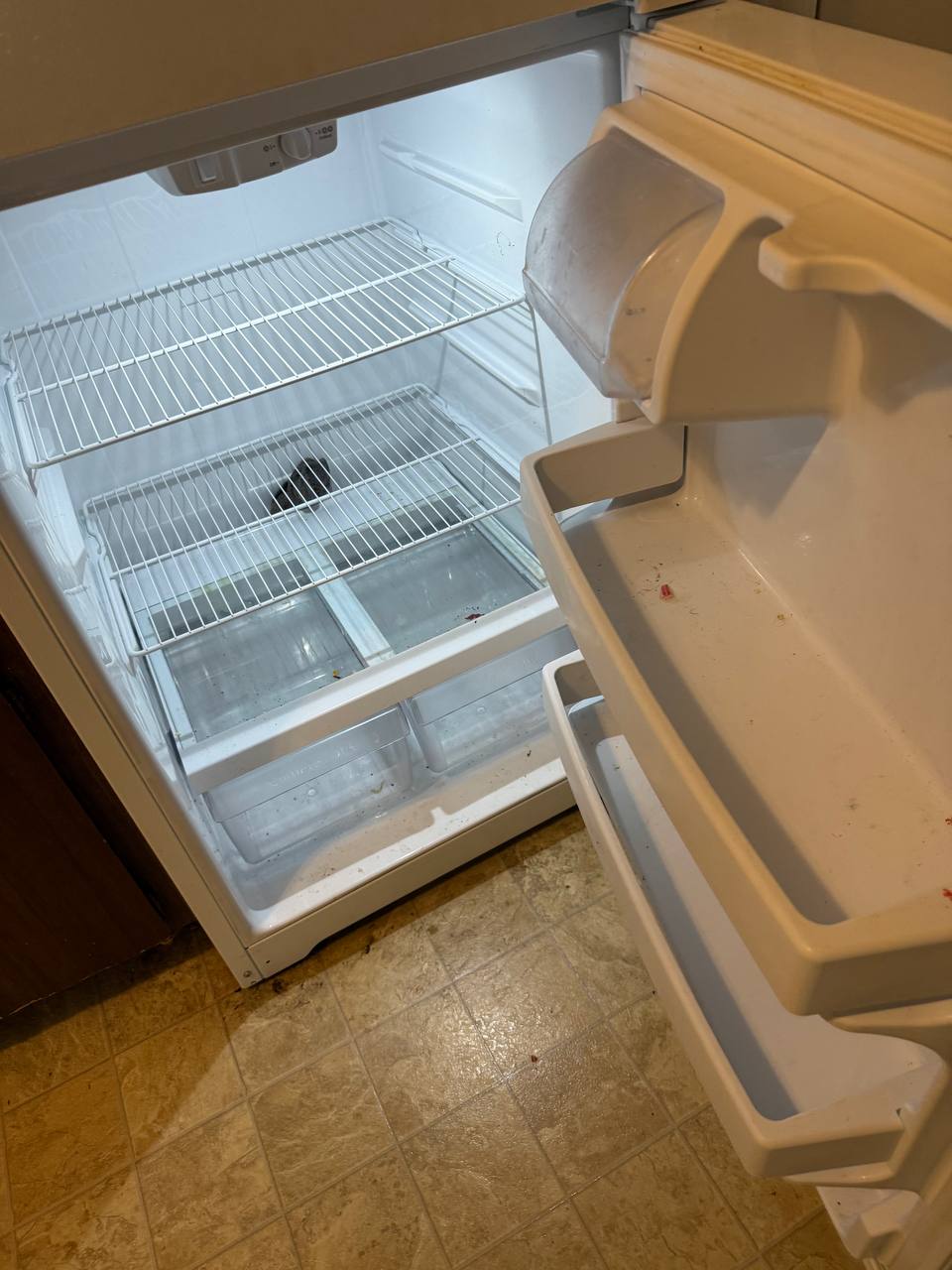 Refrigerator interior before cleaning