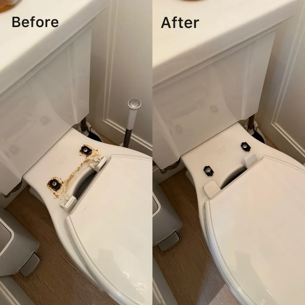 Toilet seat hardware before and after detailed cleaning